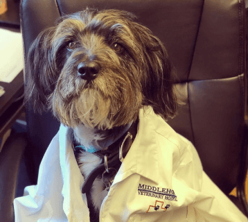 Make An Appointment