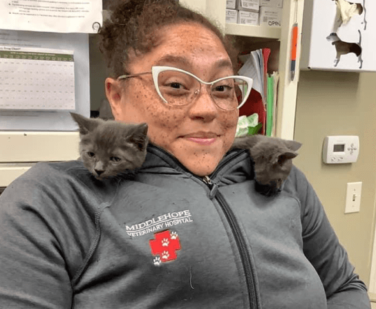Puppy & Kitten Care