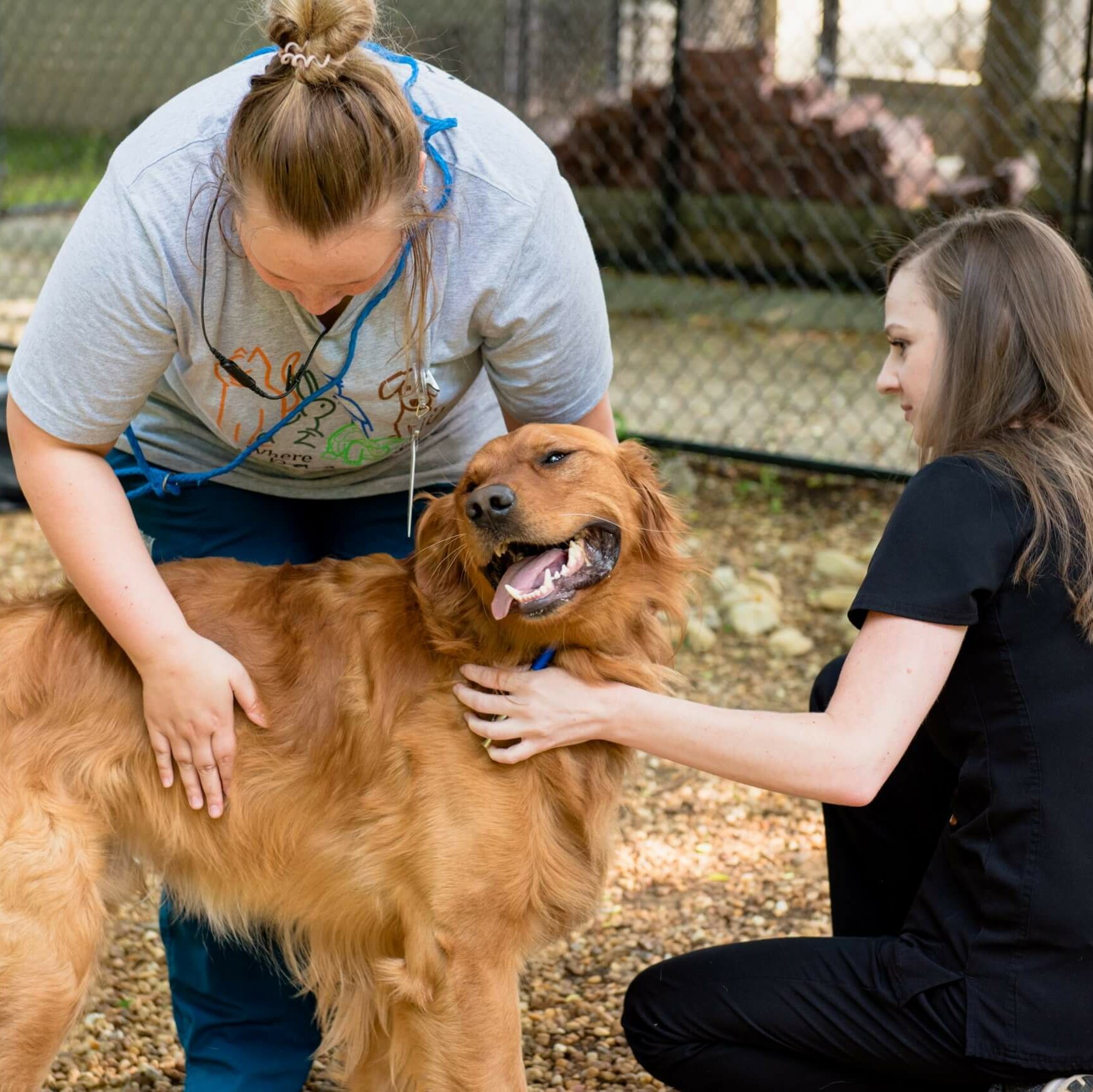 Leptospirosis Prevention